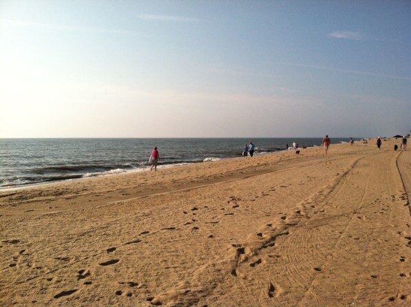 Ubicación cercana a la playa y tumbonas