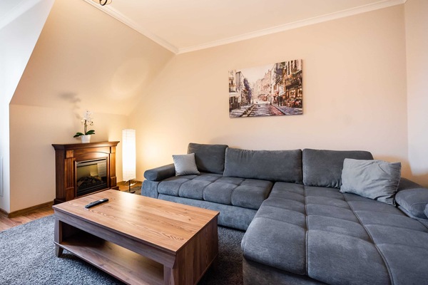 Superior Apartment | Living room