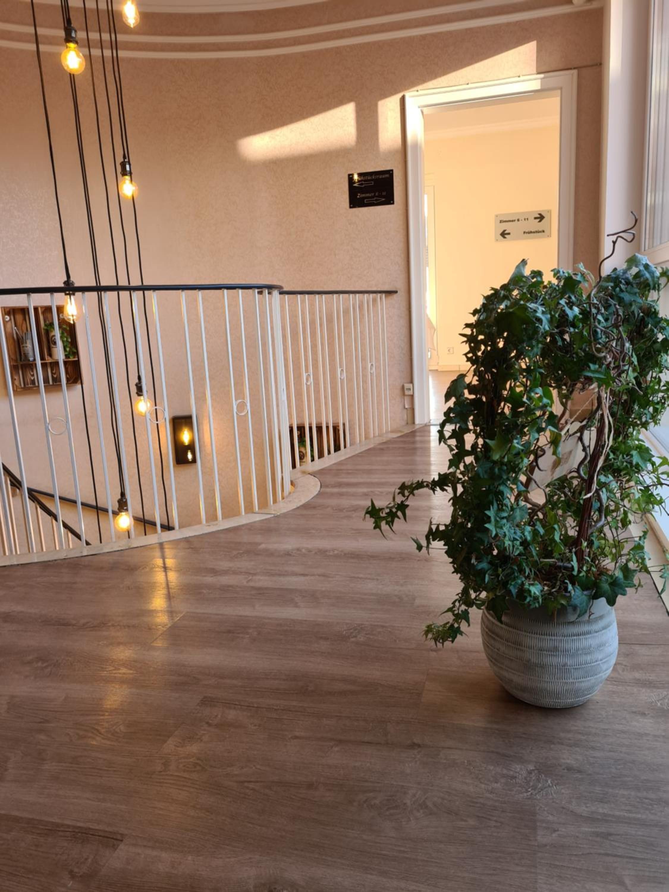 A hallway with a wooden floor, a white railing, and a potted plant.