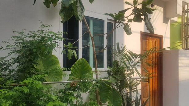 A building with a large window, a wooden door, and various green plants in the foreground. - Sam's Place (Bangkok)