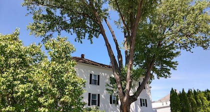 WHITE MOUNTAINS RENOVATED 1 BEDROOM on Ground Floor