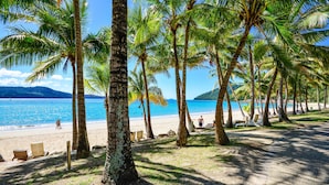 A beach with palm trees, a clear blue sky, and a calm sea. - The Elite F208 by HamoRent on Hamilton Island (Hamilton Island)