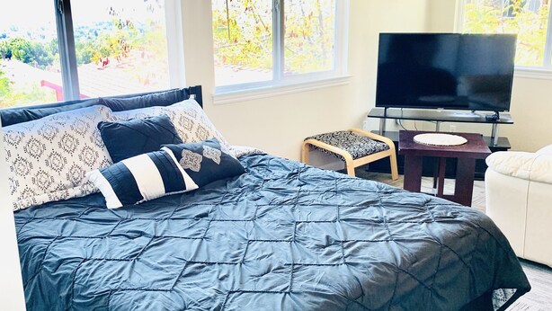 A bedroom with a large bed, a TV, and a view of trees through the windows. - Views on a Hill..... (San Jose)