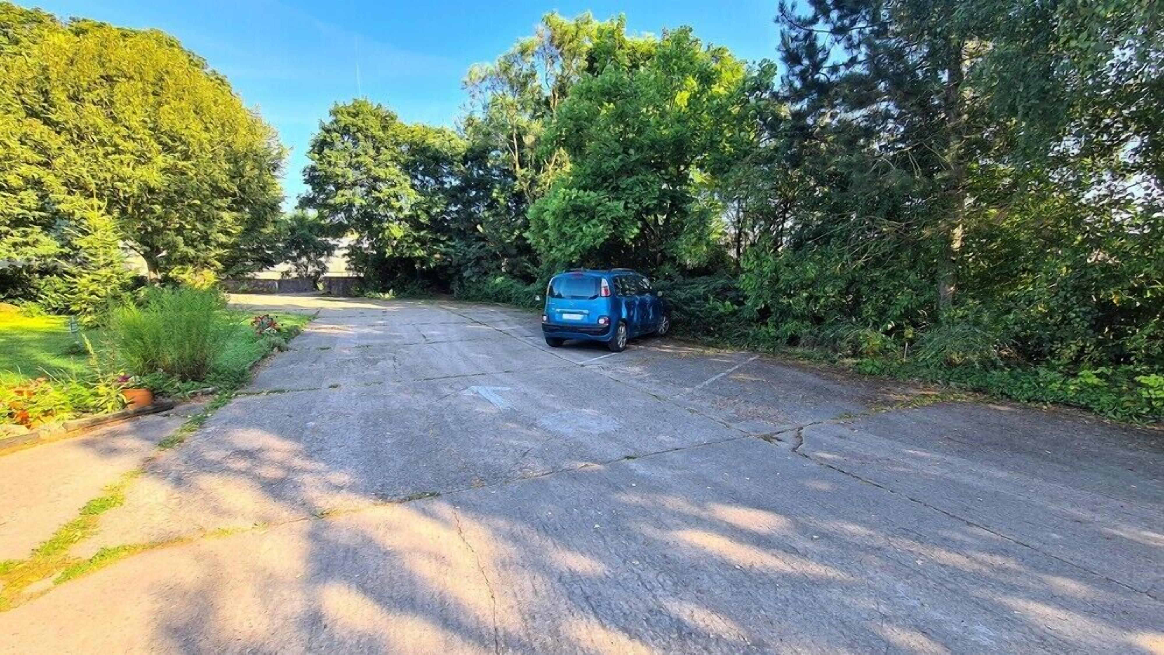 A blue car parked on a paved driveway surrounded by lush greenery.
