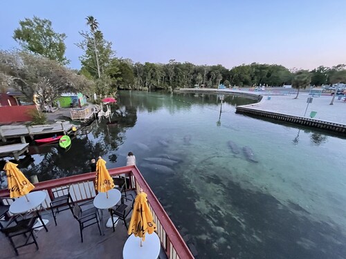 EPIC Weeki Wachee paddle house included paddleboards and kayaks!