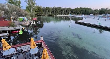 EPIC Weeki Wachee paddle house included paddleboards and kayaks!