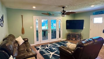 TV connectée, cheminée, lecteur de DVD, livres