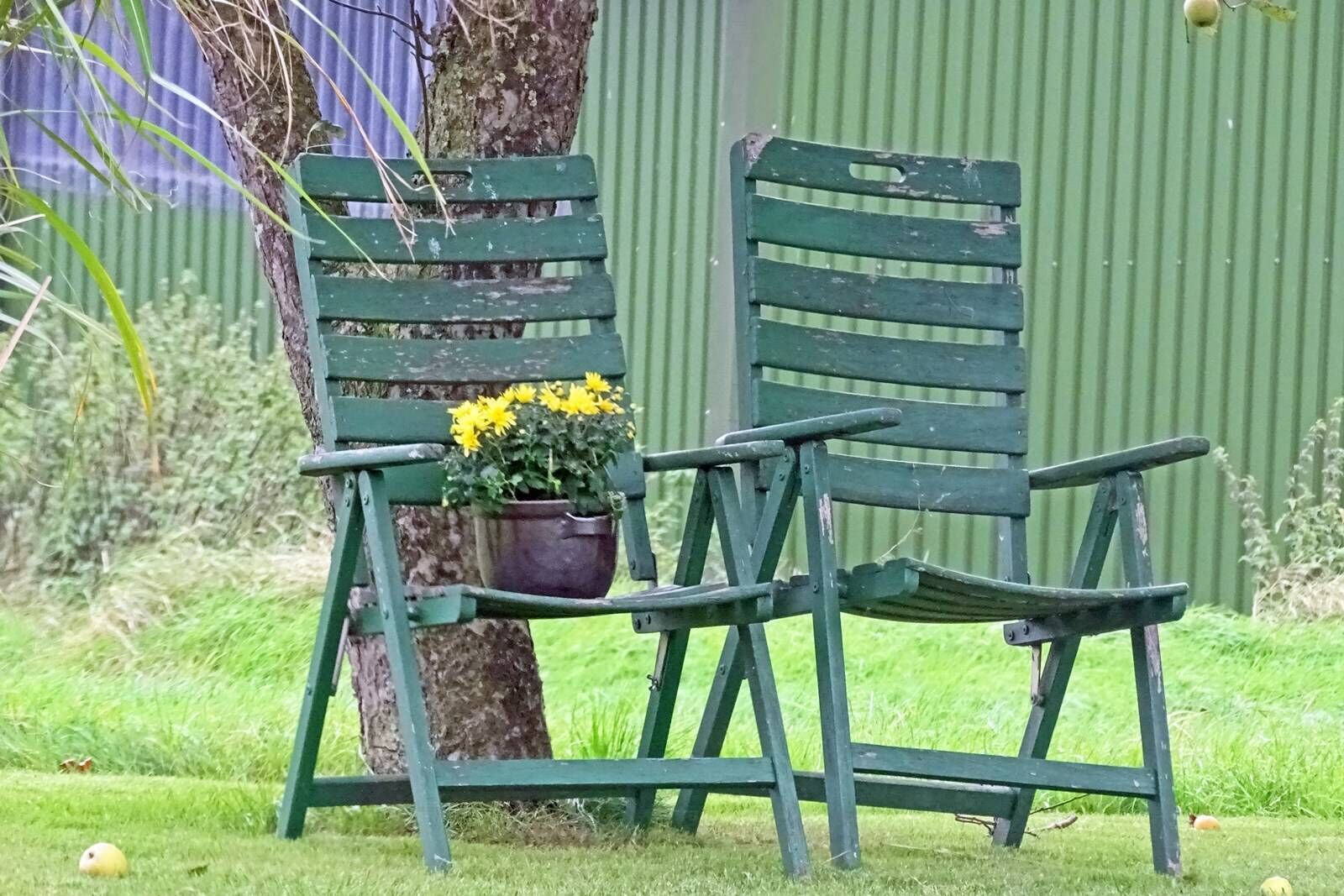 A green metal bench with a potted plant.