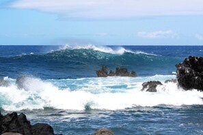 Serviettes de plage