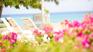 Two white lounge chairs under a tree with a view of the ocean.