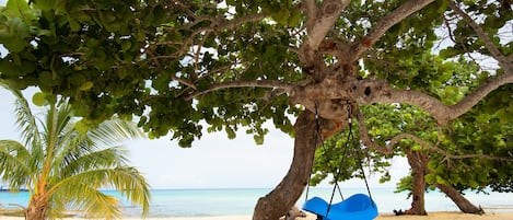 Ubicación a pie de playa, tumbonas y toallas de playa