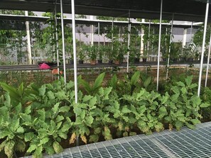 Property grounds - Verdi Residence Cyberjaya (Cyberjaya)