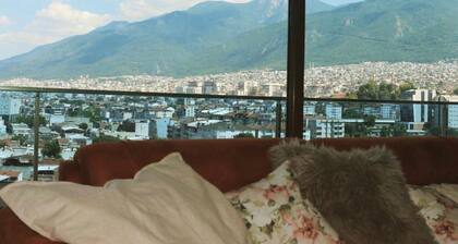 Apartment, Mountain view