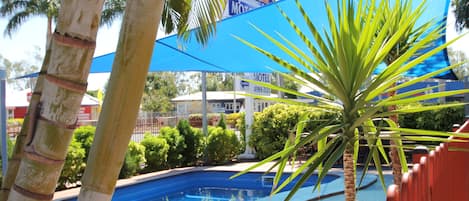 Outdoor pool, sun loungers