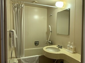 Combined shower/tub, hair dryer, slippers, electronic bidet