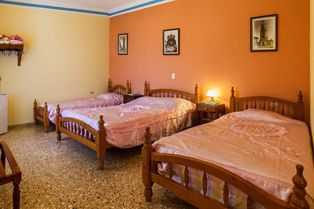 Classic Room | View from room