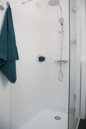 Shower, hair dryer, towels, soap