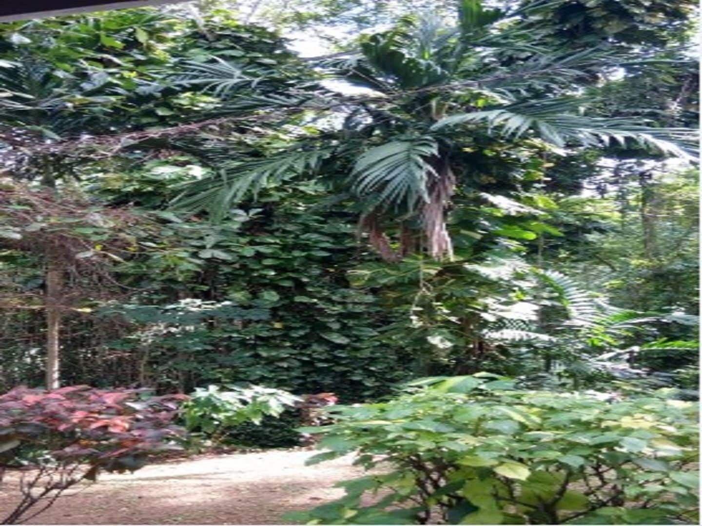 Áreas de la propiedad