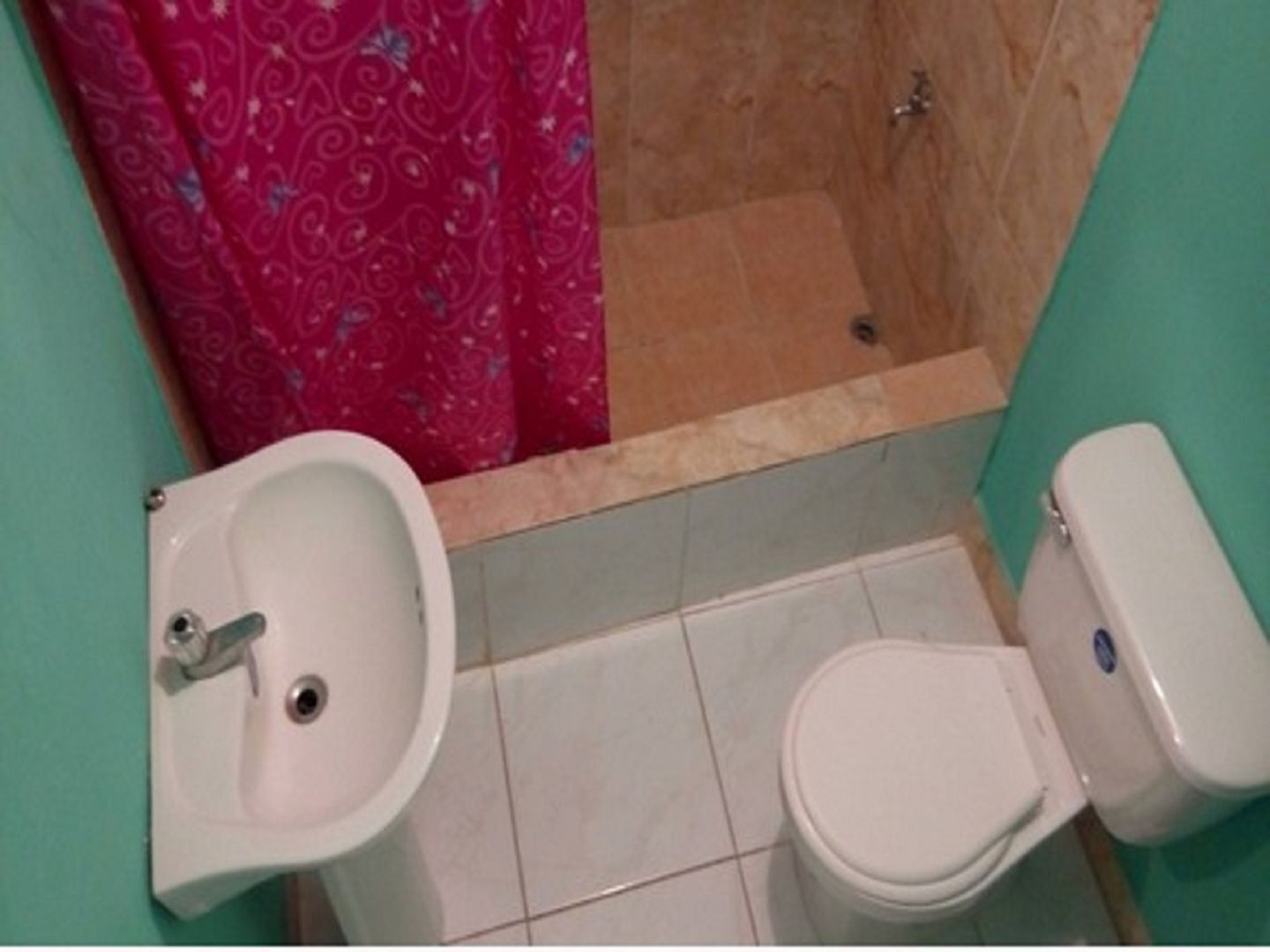 A bathroom with a bidet, toilet, and a shower area.