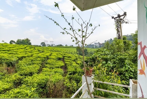 Starlit holidays homes Chithirapuram near Munnar