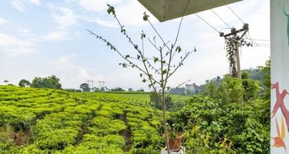 Starlit holidays homes Chithirapuram near Munnar