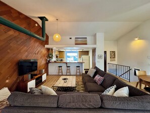 TV, fireplace, books, music library