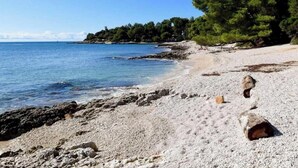 Une plage de galets, un ciel dégagé et des arbres en arrière-plan.