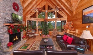 Televisión, chimenea, reproductor de DVD y futbolito 