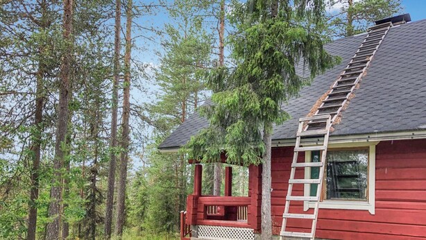 Une cabane en bois rouge, avec une échelle en bois menant à une fenêtre, entourée de grands arbres et bordée d’un sentier herbeux.