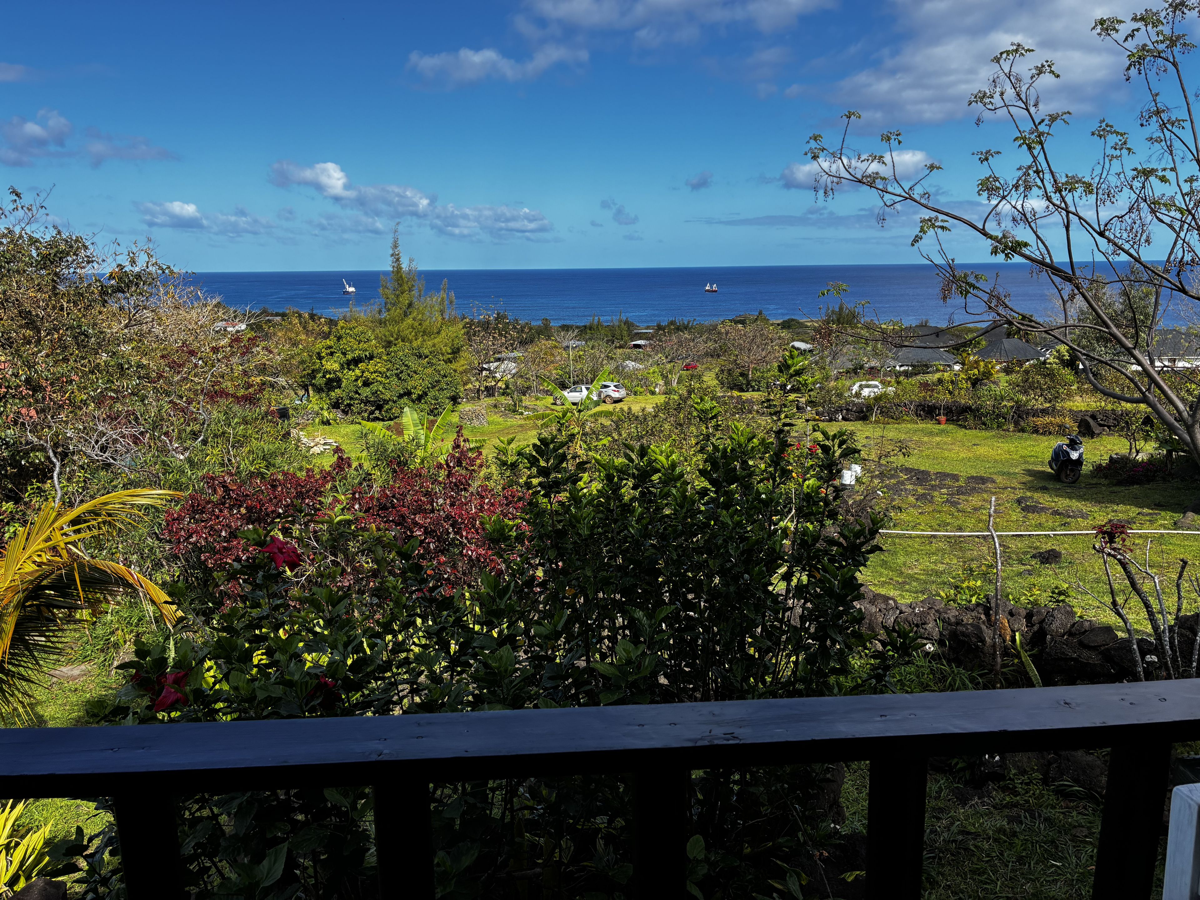 Vista de un jardín exuberante con una terraza de madera, cielo azul claro y el océano al fondo.