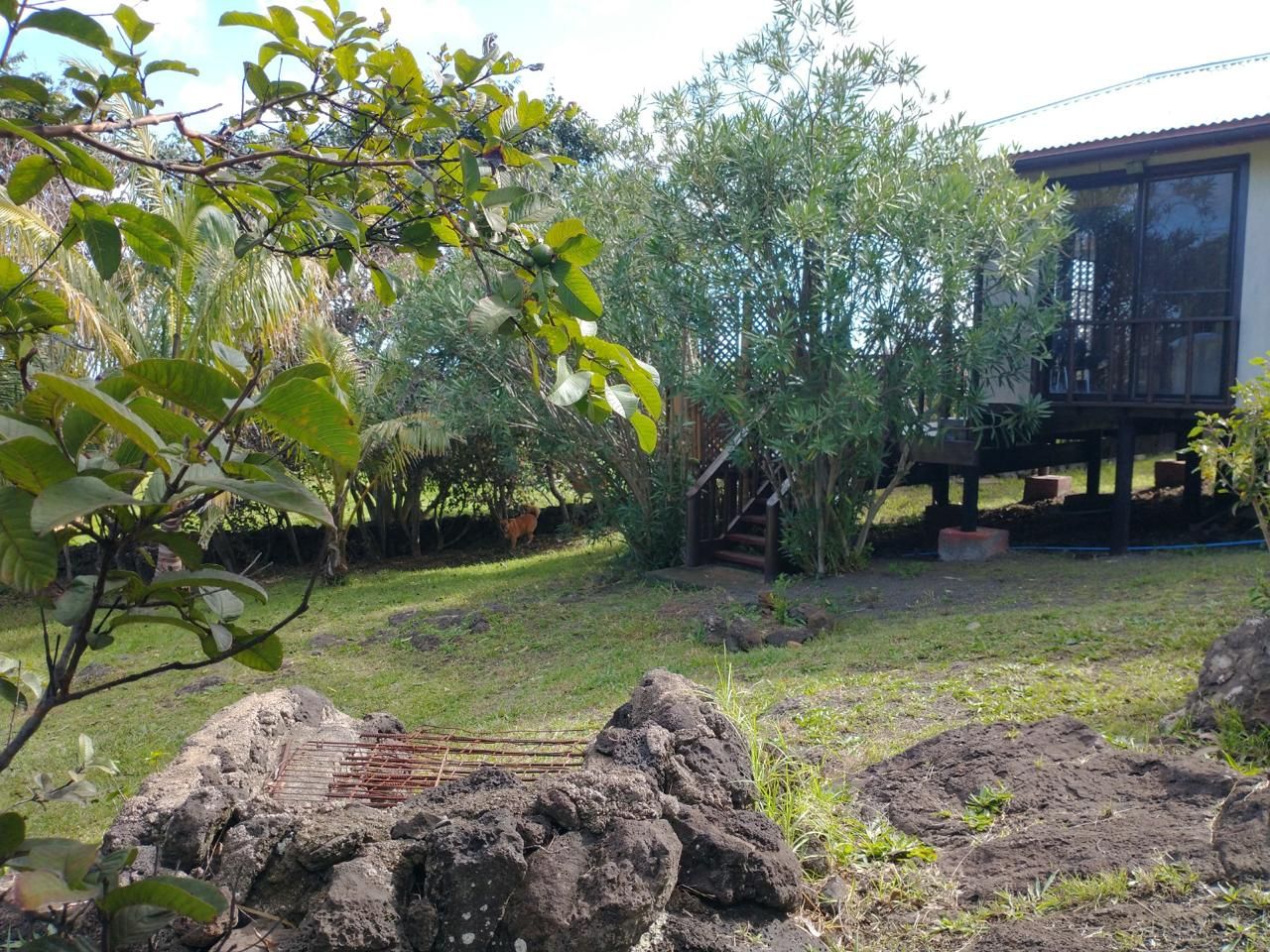 A garden with a wooden deck, a stone wall, and various plants.