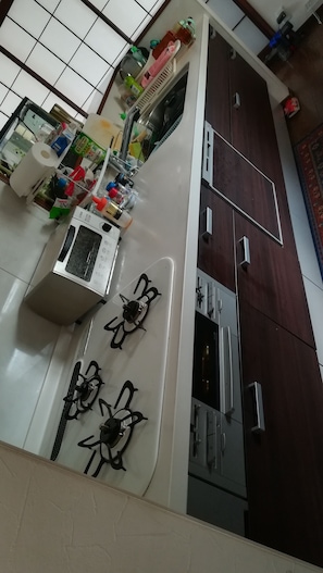Kühlschrank, Mikrowelle, Herdplatte, Geschirrspüler