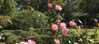 Homerez - Cozy House in Arles with Garden and Private Parking