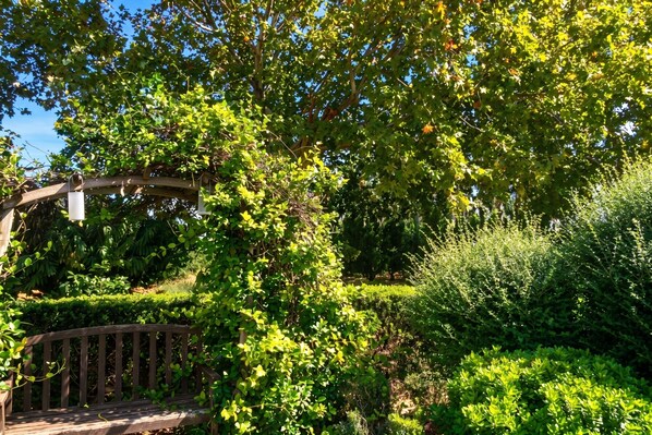 Property grounds - Homerez - House in Arles (Arles)