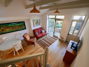 Smart TV, fireplace, DVD player, books