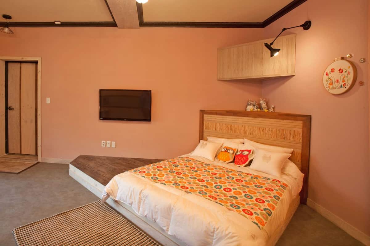 A bedroom with a bed, a television, a wardrobe, and a door.