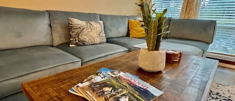 TV connectée, cheminée, lecteur de DVD, table de tennis de table