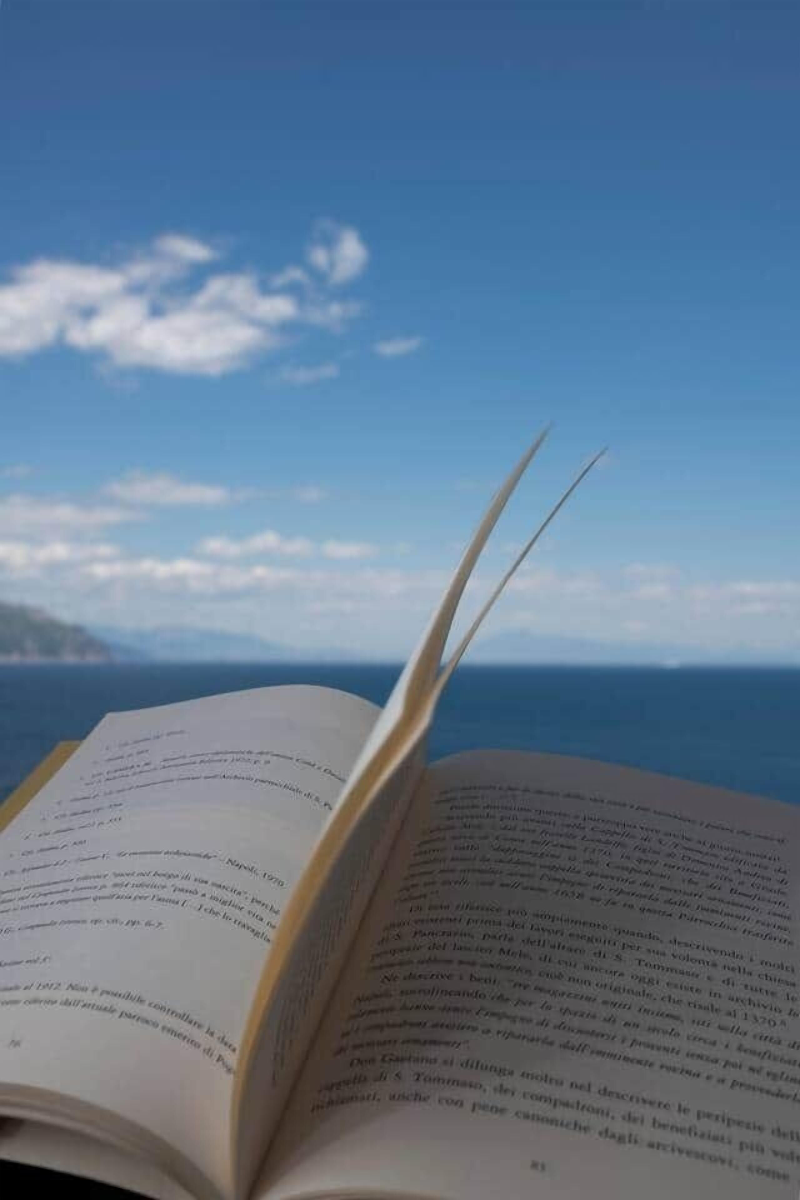 Ein offenes Buch mit gut lesbarem Text, vor einem Hintergrund aus blauem Himmel und weiter Ferne.