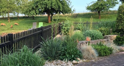 Appartement & Pension Schmidt Kosma