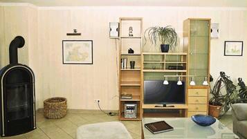 Fernseher, Kamin