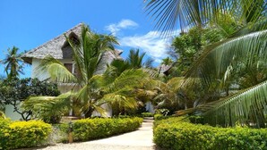 Taman