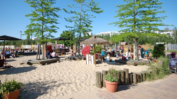Bar de plage