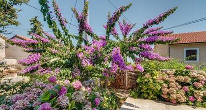 Apartment Bugenvilia