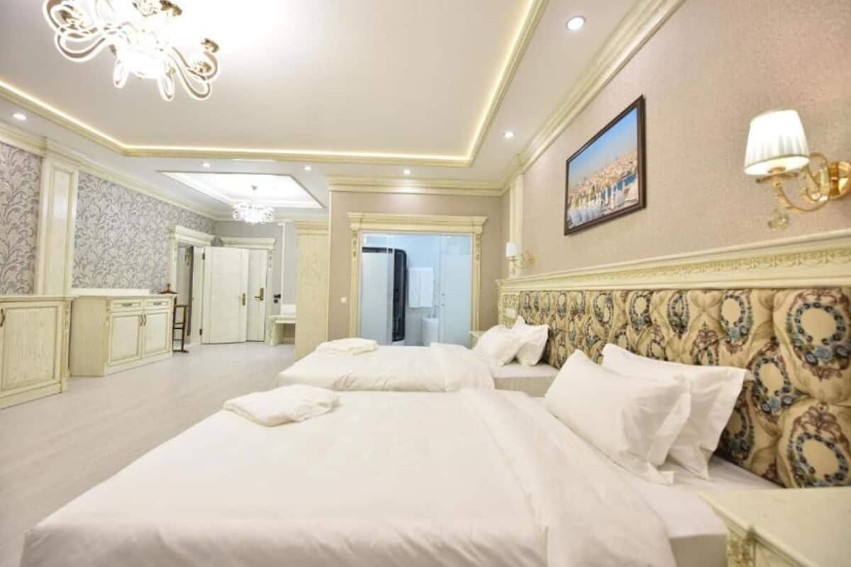 Roupas de cama de algodão egípcio, roupas de cama premium