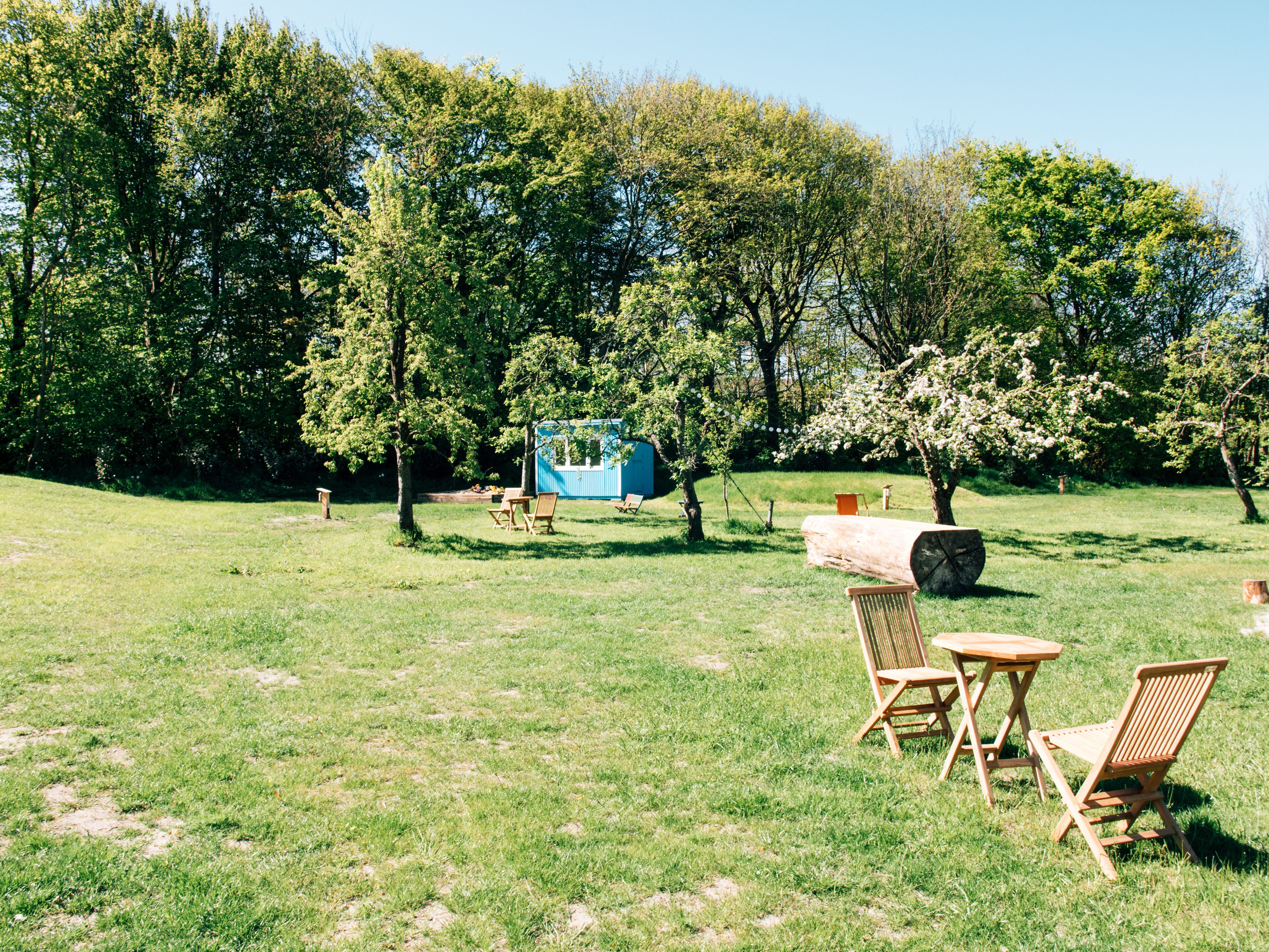 superior double room | garden view