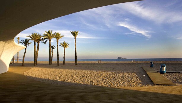 A beach with palm trees and a wooden boardwalk leading to the water. - L&G Apartamentos (Benidorm)