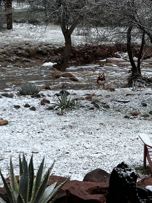 Overnattingsstedets uteområder