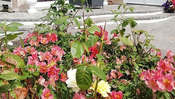 A building with a patio area featuring outdoor seating and potted plants. - Tig na Coille B&B Country House (Tullaroan)
