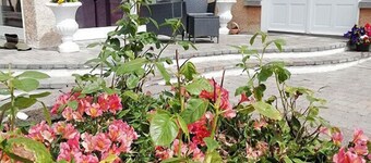 Tig na Coille B&B Country House