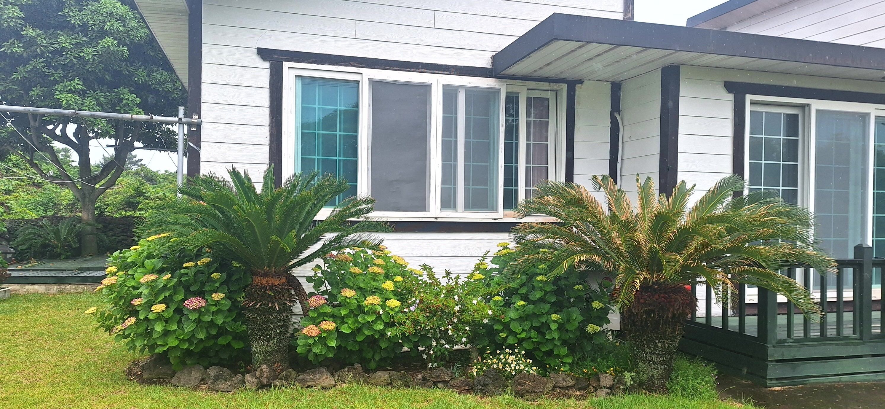 A house with a porch, large windows, and a stone wall with plants.